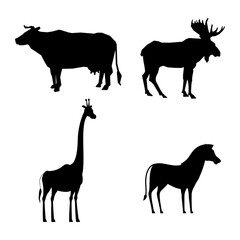 Animal day silhouette, Wild animals and Nature silhouette, National park, Sustainable of Ecology concept, Save the planet, Eco friendly.