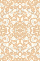 Beautiful floral beige lace. Vector illustration