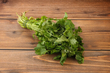 Green coriander leaves herb heap