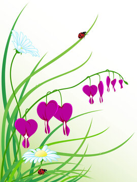 vector floral background with camomiles and ladybugs