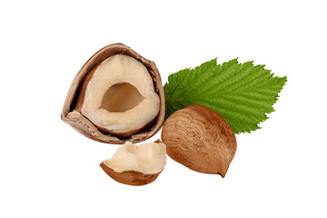 Hazelnuts with green leaves isolated on transparent background. Hazelnut whole in nutshell and...