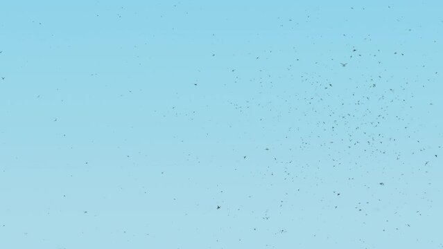 Mosquito Attack 
As many as 110 trillion mosquitoes exist in the world today. This works out to almost 16,000 mosquitoes per human