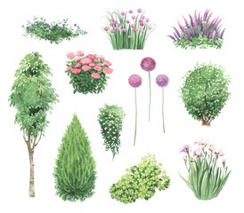 Set of watercolor isolated garden bushes and plants with flowers, hand painting collection of decorative elements for nature illustration, background, landscape design print. - 608569670