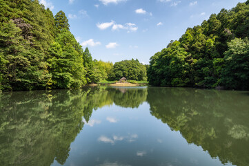 Fototapeta premium 茨城県水戸市 新緑の七ツ洞公園