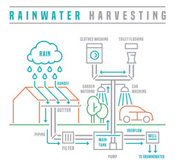 Rainwater harvesting scheme. Editable isolated vector illustration