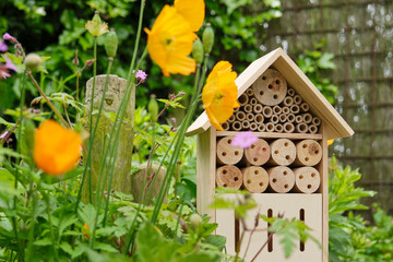 An insect hotel or bee hotel in a summer garden. An insect hotel is a manmade structure created to provide shelter for insects in a variety of shapes and sizes and materials. - obrazy, fototapety, plakaty