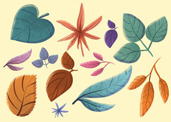 Fototapeta na wymiar Colorfull Leaves Collection