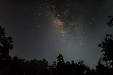 Fototapeta na wymiar Dazzling Milky Way!