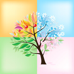 Four Seasons Tree. Illustration on white background