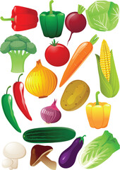 Vegatables illustration
