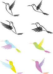 Humming Bird illustration
