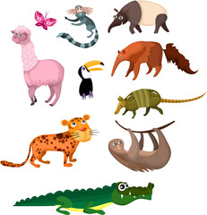 vector illustration of a animal set