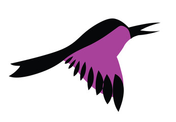lilac bird on white background