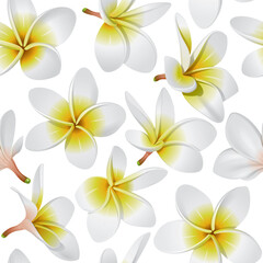 Frangipani (Plumeria) tropical flowers. Seamless pattern background. Vector illustration © Designpics