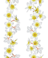 Tropical necklace seamless border. Lei flowers. Vector Illustration © Designpics