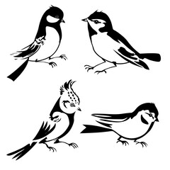 Obraz premium birds silhouette on white background, vector illustration