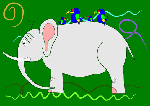 Elephant on the green background with colorful parrot