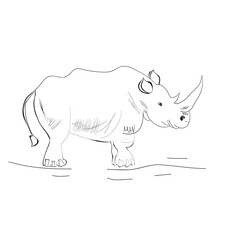 Rhino