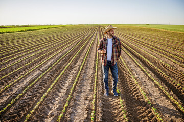 Farmer is cultivating soybean on his land. He is satisfied with early progress of plants.