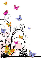 vector illustration of colorful butterflies on floral elements
