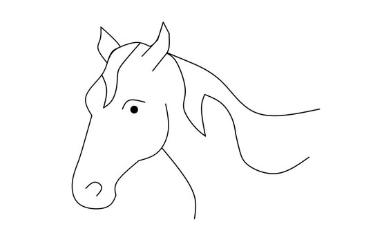Horse line drawing on white isolated background. Vector illustration.