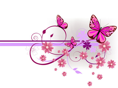 vector illustration of colorful butterflies and pink blossoms