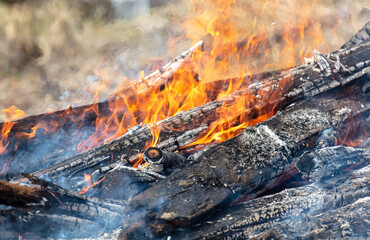 Burning firewood in a campfire close-up.