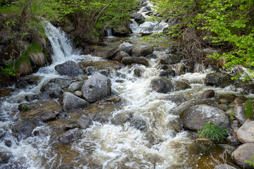 stream in the forest, mountain stream in the Eastern Pyrenees