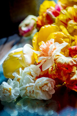spring flowers on the dark background