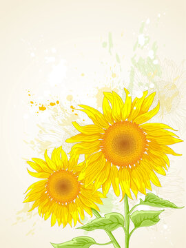 hand drawn vector floral background with sunflower