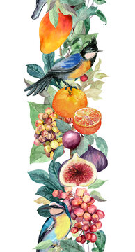Decorative fruits and birds beautiful seamless banner: mango fruit, orange, exotic leaves. Watercolor tropical repeated stripe frame. Harvest summer design 
