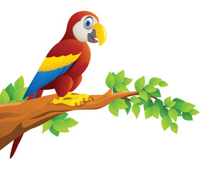 Vector Illustration Of Macaw Bird Isolated