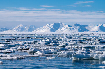 Ice covered fjord and snow covered mountains with blue sky in arctic Svalbard