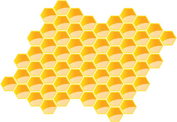 Honeycomb full of honey isolated on a white. Vector illustration.