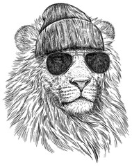 Vintage engraving isolated lion king set glasses dressed fashion illustration ink sketch. Africa wild cat background animal silhouette sunglasses hipster hat art. Black and white hand drawn image