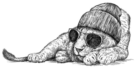 Vintage engraving isolated lion king set glasses dressed fashion illustration ink sketch. Africa wild cat background animal silhouette sunglasses hipster hat art. Black and white hand drawn image © Turaev