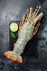 Raw Spiny lobster or sea crayfish on a marble board. Black background. Top view