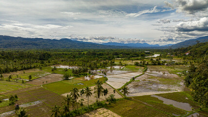 Rice fields and farmland in Sumatra, Indonesia.