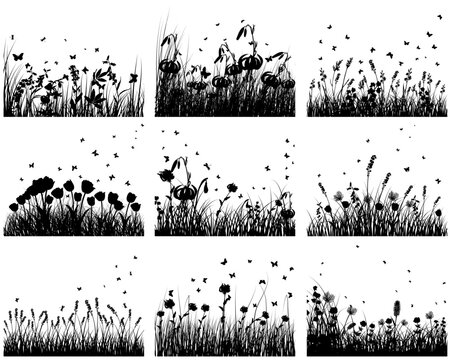 Nine vector grass silhouettes backgrounds. All objects are separated.
