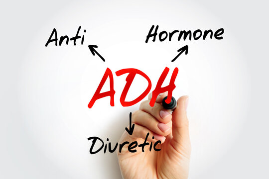 ADH - Antidiuretic Hormone acronym, concept background
