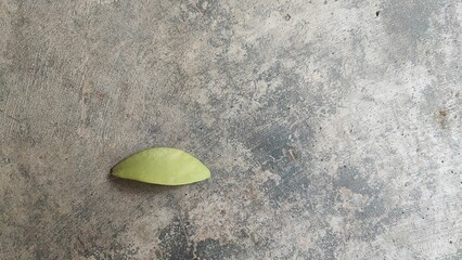 Obraz premium Beautiful Green Leaves Small Round