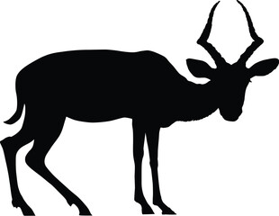 Koodoo antelope silhouette. Vector eps8