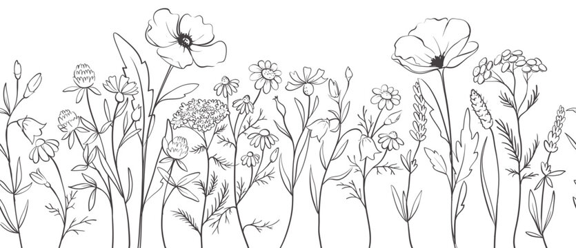 Wildflowers. Sketch in lines, freehand drawing. Vector  illustration, summer seamless background, flower meadow.	