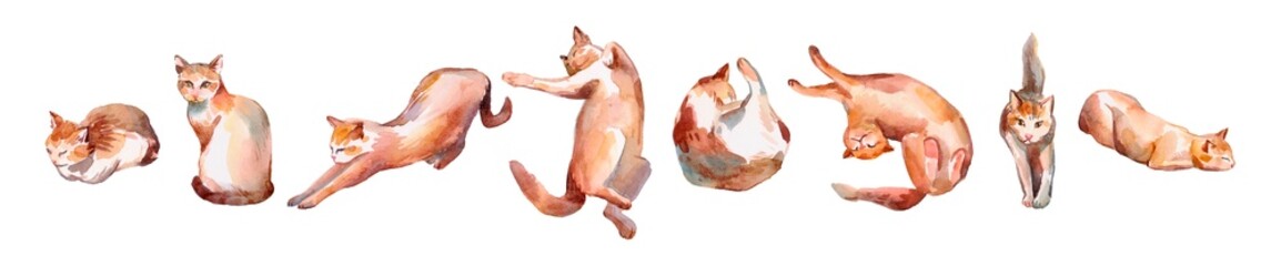 Set of red cat poses. Hand drawn watercolor illustration is isolated on white. Cute kitty is perfect for animal design, pet shop, veterinary clinic, fabric textile, baby cloth print, interior poster - obrazy, fototapety, plakaty