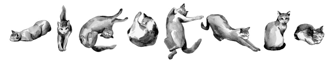 Hand drawn watercolor black cats shapes collection