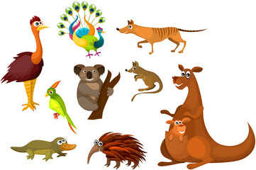 vector illustration of a cute Australian animals