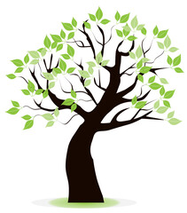 vector tree with leaves