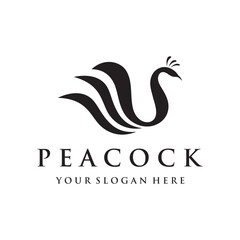 Creative peacock and peacock feather logo template design-Vector illustration.