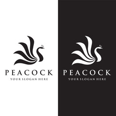 Creative peacock and peacock feather logo template design-Vector illustration.