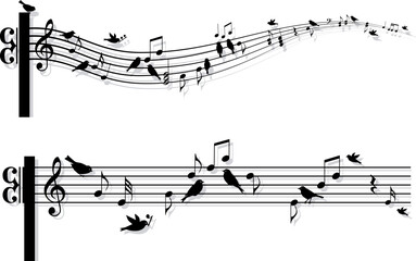 music notes with singing birds, vector background